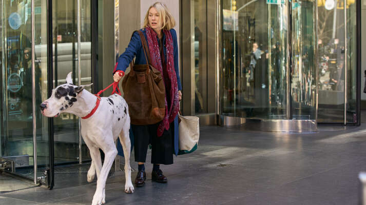 Bleecker Street Acquires ‘The Friend’; Pic Stars Bill Murray, Naomi Watts & A Great Dane Named Bing