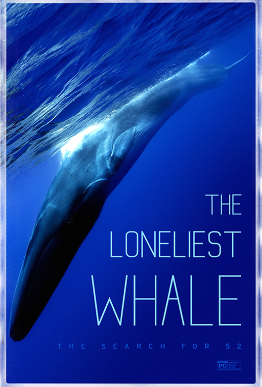 The Loneliest Whale